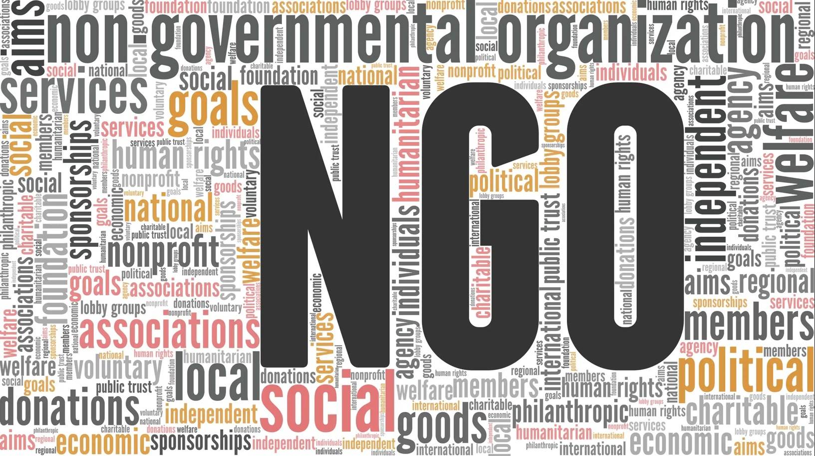 NGO logo240411070737.jpg